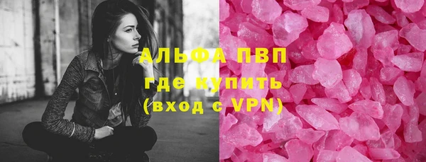 СК Зерноград