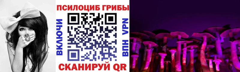 Псилоцибиновые грибы мицелий  Купить  Ершов 
